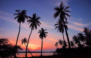 Top Beaches in Sri Lanka: Uncovering the Best Coastal Getaways