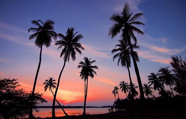 Top Beaches in Sri Lanka: Uncovering the Best Coastal Getaways